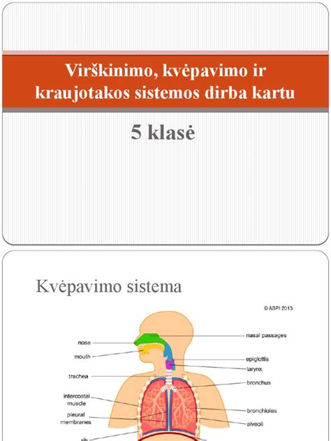 Virškinimo įtaka kvėpavimo pojūčiui