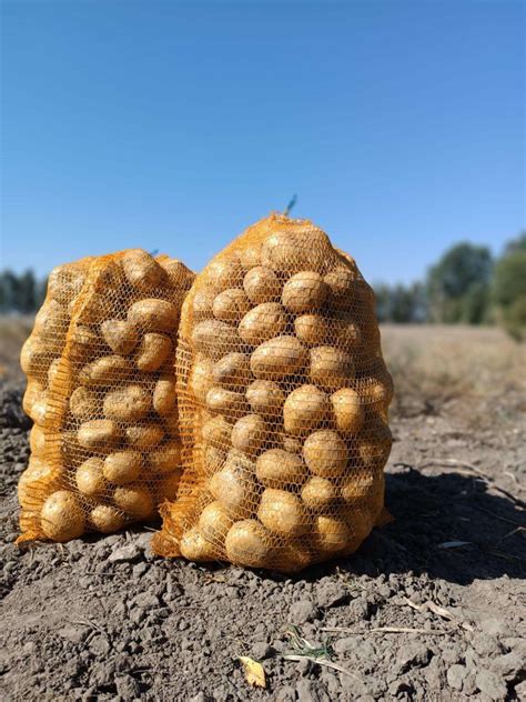 Įvairių rūšių bulvės krepšelyje