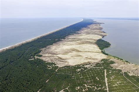 Kuršių nerijos kopos Kaliningrado srityje