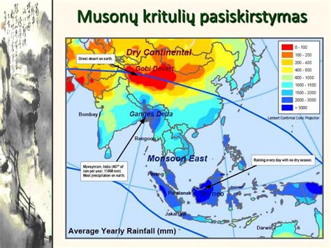 Pusiaujo klimato schema ir kritulių pasiskirstymas