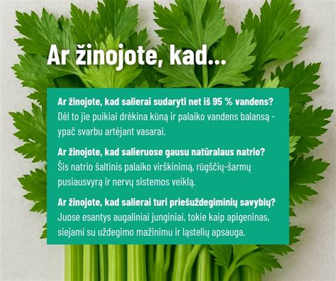 Kontraindikacijos ir įspėjimai vartojant kopūstų sultis