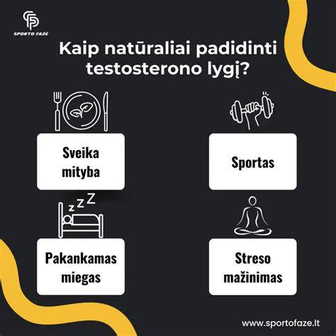 Testosterono sintezės schema