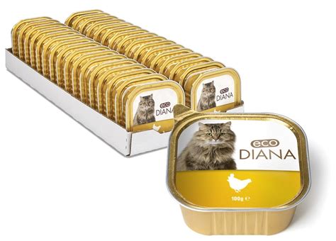 Įvairūs biskvito variantai ir skoniai