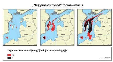 „Šiaurės srauto“ ir „Šiaurės srauto-2“ dujotiekių žemėlapis Baltijos jūroje