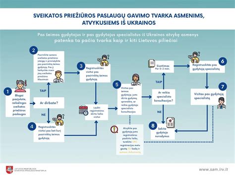 Airijos sveikatos priežiūros sistemos schema