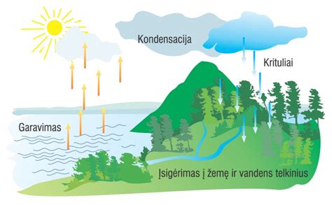 Anglies ciklo schema gamtoje