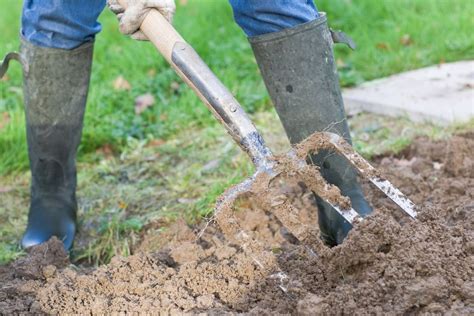 Dirvos paruošimas kopūstų sodinimui