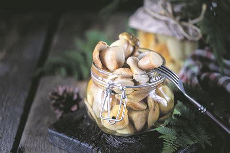 Konservuotų grybų stiklainiai