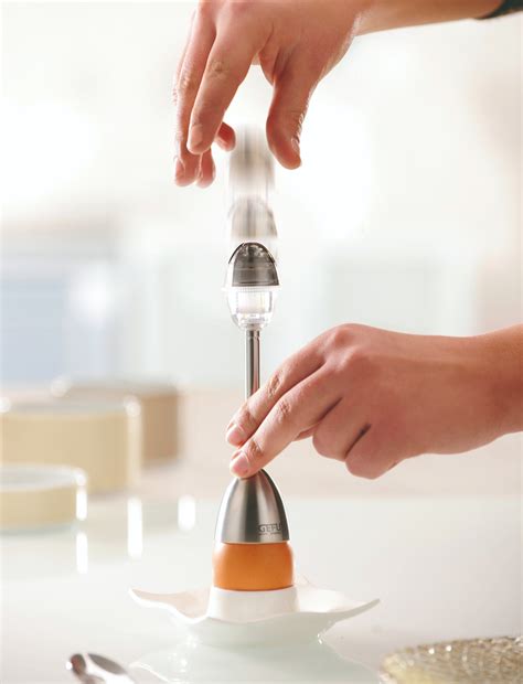 Kiaušinio lukšto mikroskopinis vaizdas su poromis