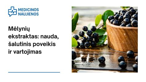 mėlynių nauda sveikatai infografika