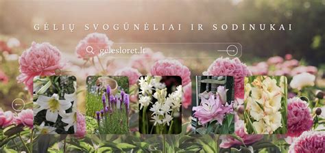 Eleborų žiedai pavėsingoje sodo vietoje