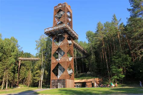 Medžių lajų takas su informaciniais stendais
