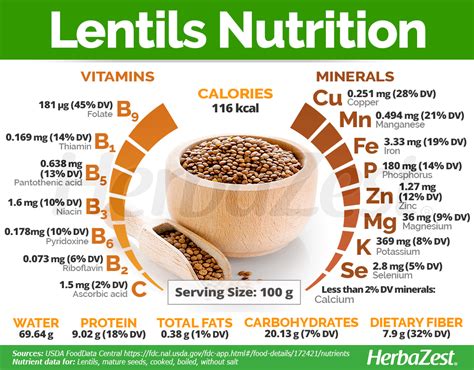 Lentil nutrition facts infographic