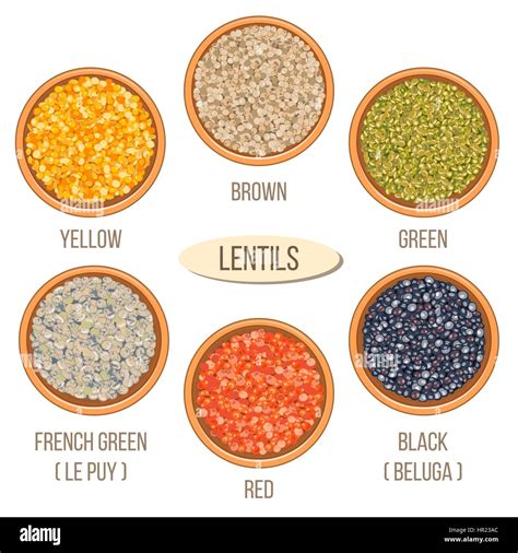 Different types of lentils