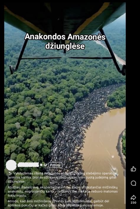 Lietuviai misionieriai Amazonijos džiunglėse
