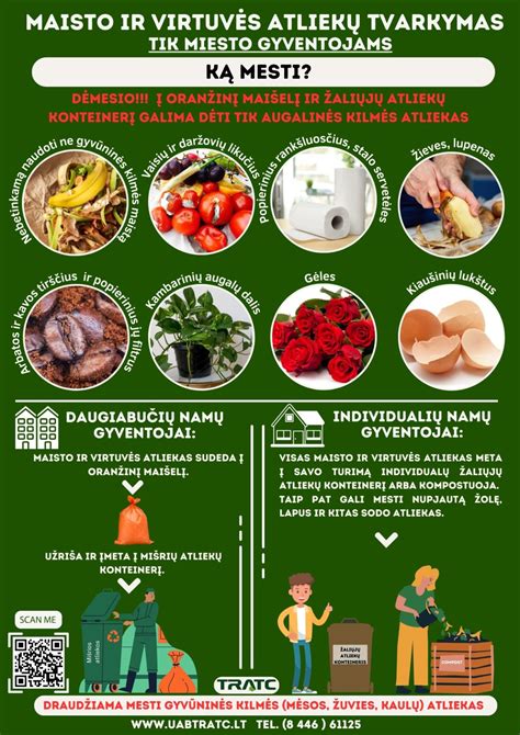Augalinės kilmės maisto pavyzdžiai