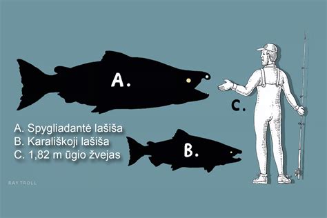 Valgomų paveikslėlių dydžių palyginimas
