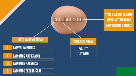 Schematinis vaizdas apie kiaušinio maistingumą