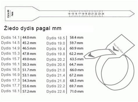 Porcijų dydis pagal ranką