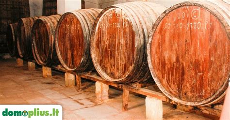 Vynuogynai ir moderni vyno darykla Spier