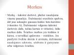 Morkų virškinimas ir nauda organizmui