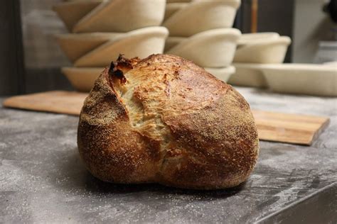 Natūralaus raugo duonos gamybos procesas