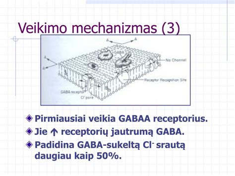 Pienarūgščių bakterijų ir bakteriocinų veikimo mechanizmas