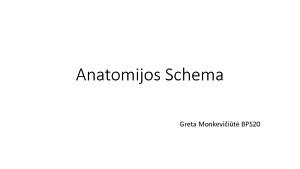 Paukščio anatomijos schema