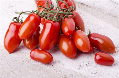San Marzano pomidorai