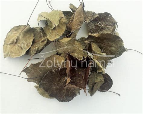 Džiovinti ajero lapai