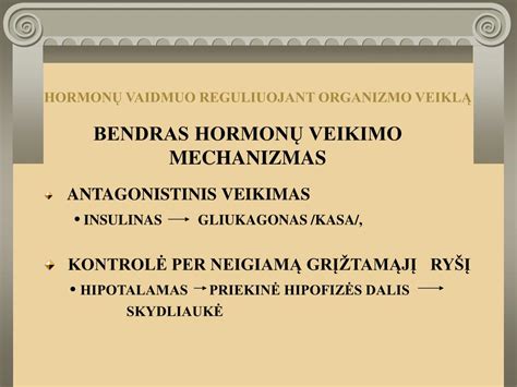 Apetitą reguliuojančių hormonų veikimo schema