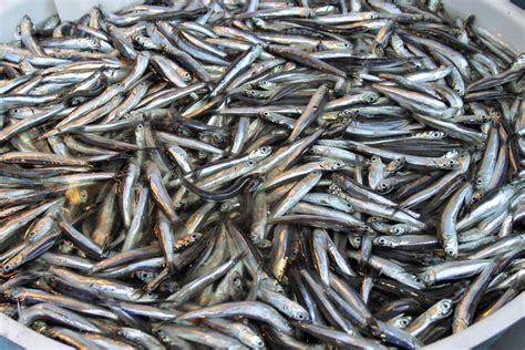 Ančiuviai skardinėlėje ir picų ingredientai