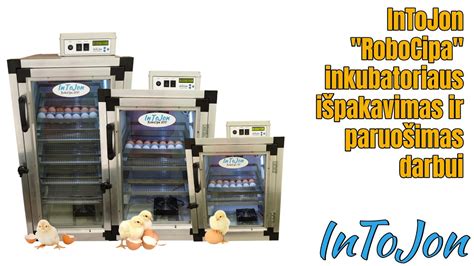 inkubatoriaus nustatymai