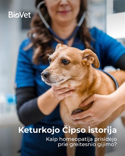 Sveikas ir blizgantis šuns kailis