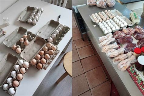 Kiaušinių žymėjimo paaiškinimas pagal laikymo būdą