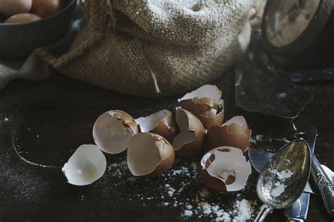 Kiaušinių lukštų nauda sode ir darže