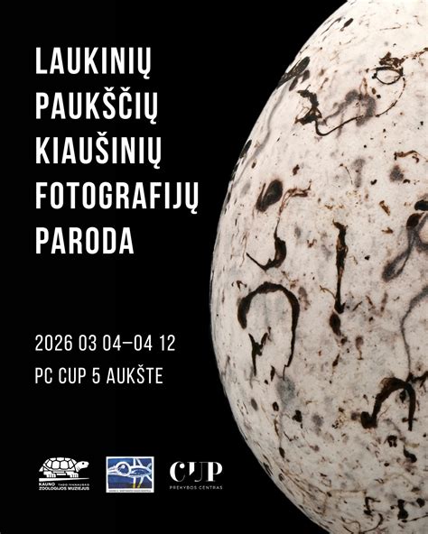 Paukščių kiaušinių kamufliažas