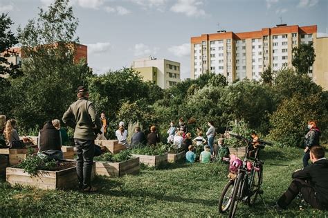 Maisto krušos padariniai mieste