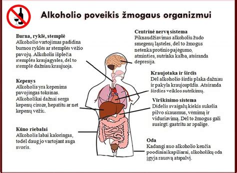 Mėsos poveikis žmogaus organizmui