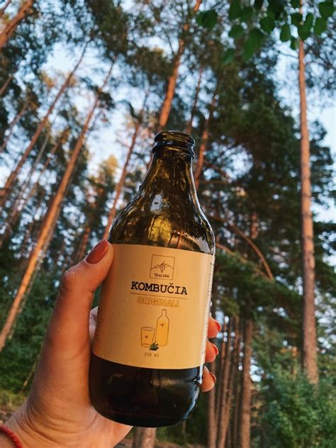 Fermentuota kombučia