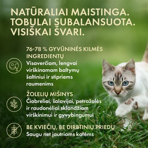 Kačių pašarų kokybės klasės