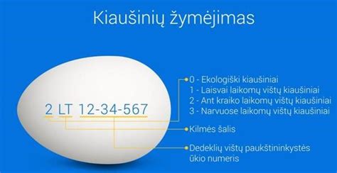 Kiaušinių ženklinimas ir vištų auginimo būdai