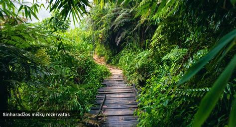 Šri Lankos gamtovaizdis