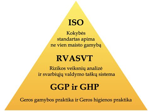 Schema, iliustruojanti RVASVT sistemos principus