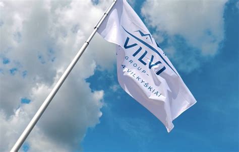 Vilvi Group logotipas ir įmonių grupės nariai