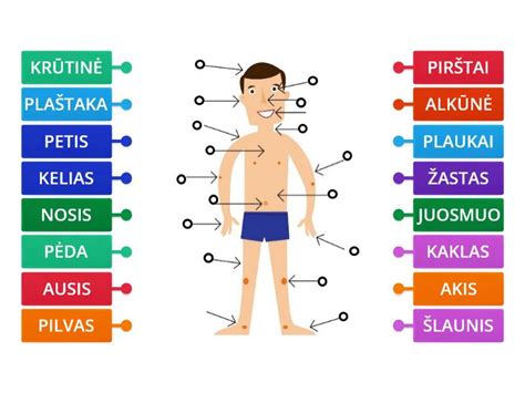 Schematiškas žmogaus kūno paveikslas su pagirių simptomais