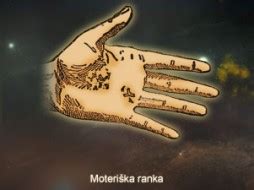 Moters ranka tarkuoja morką