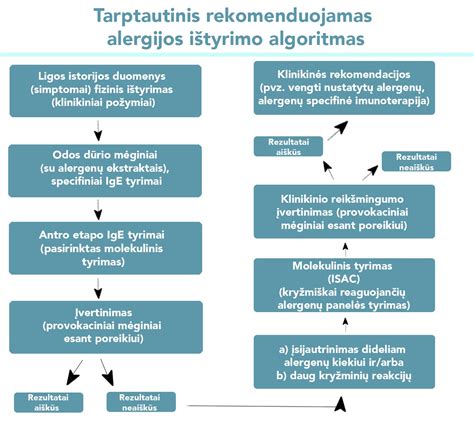 Alergijos antibiotikams testavimo schema
