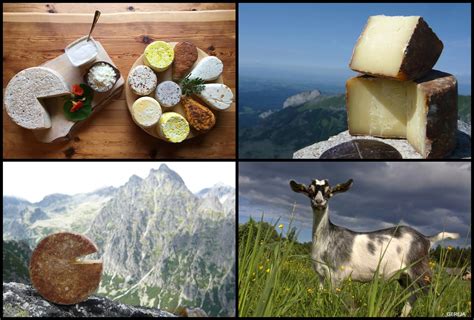 Nyderlandų sūrių gamintojai