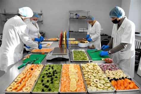 Liofilizacijos technologija maisto pramonėje
